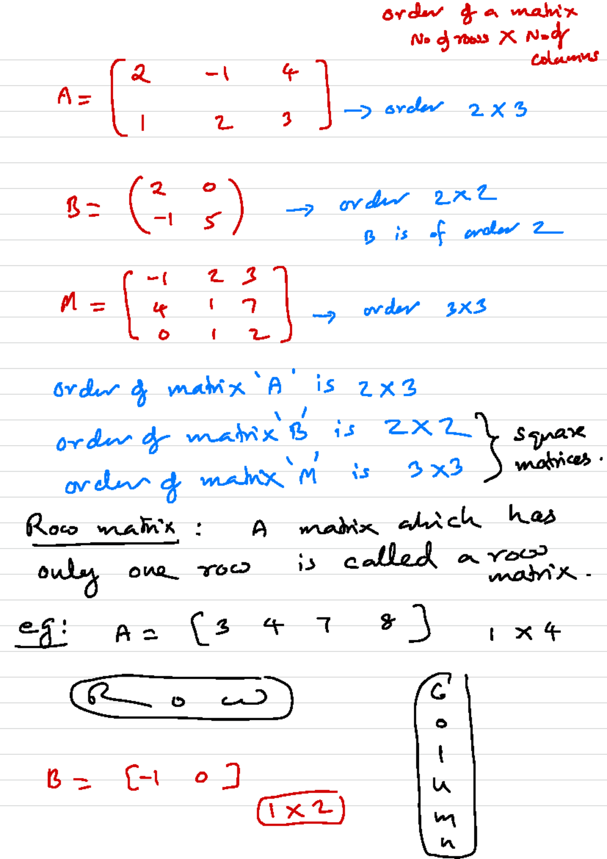 Matrix Operations and Differentiation: A Comprehensive Study (MATH 101 ...