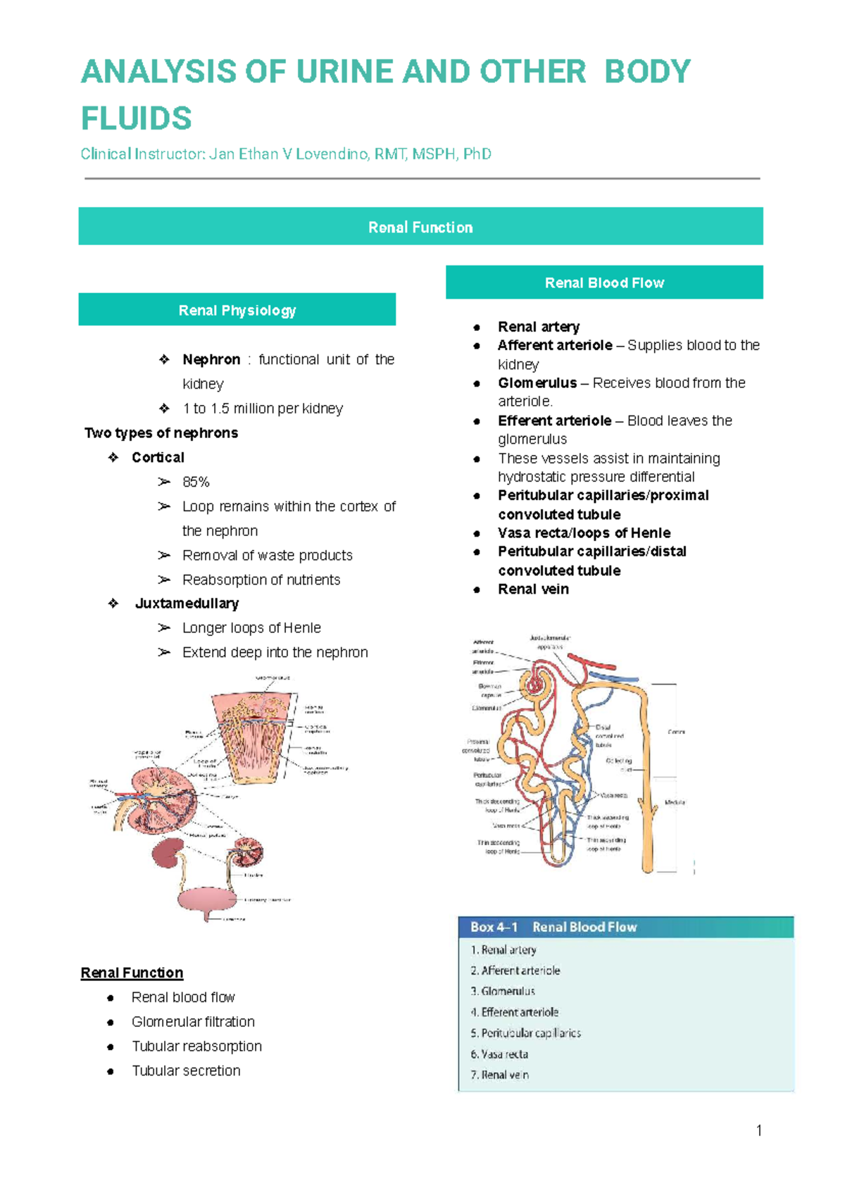 Chapter 3: Analysis of Urine and Body Fluids (AUBF) Summary - Studocu