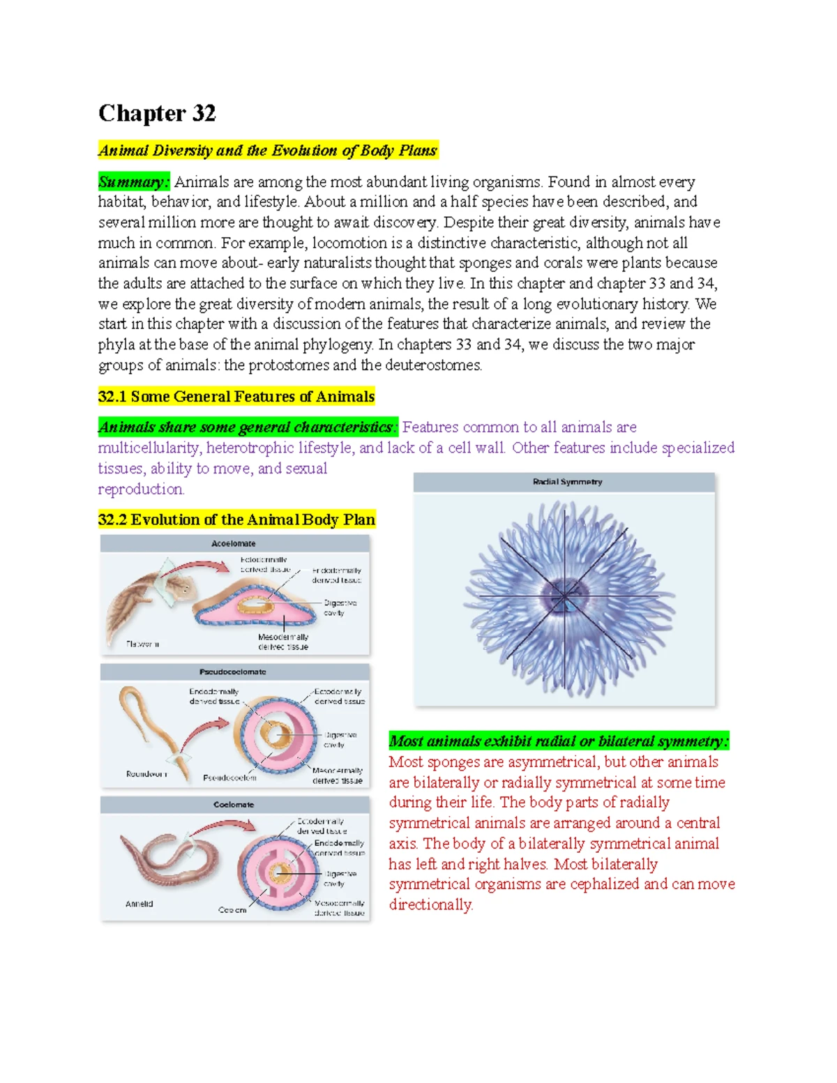 Bio Chapter 33 Notes - Biology - Chapter 33 Protostomes Summary: Almost ...
