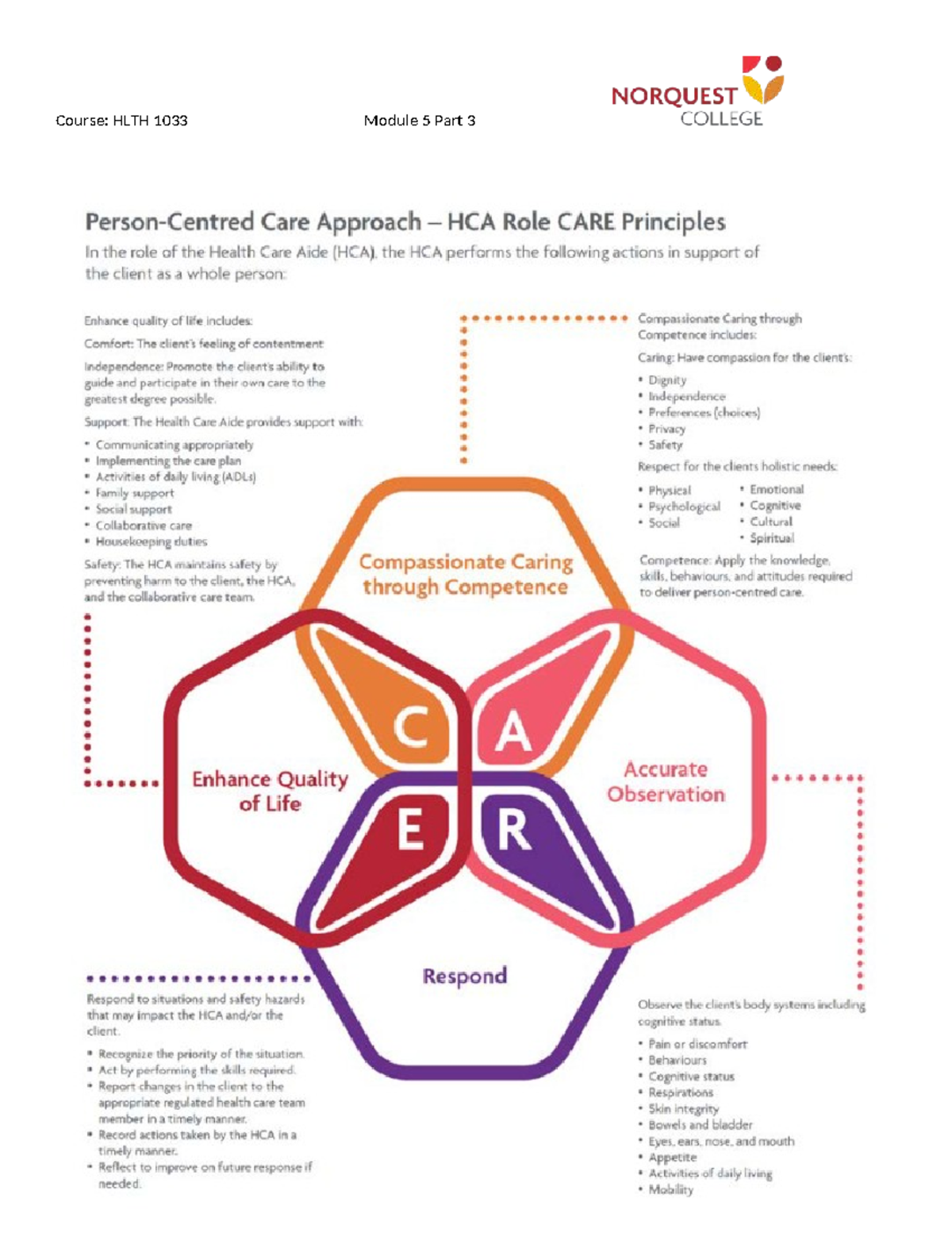 HLTH 1033 Module 5: Person-Centred Care Approach for HCA - Studocu