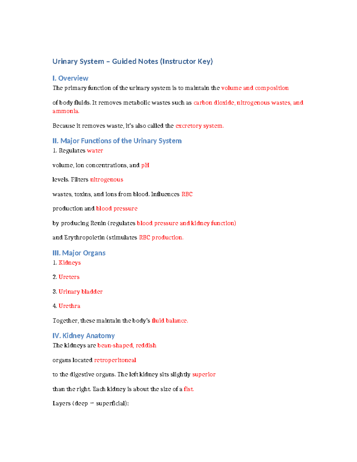 Urinary System Guided Notes (Instructor Key) - Studocu