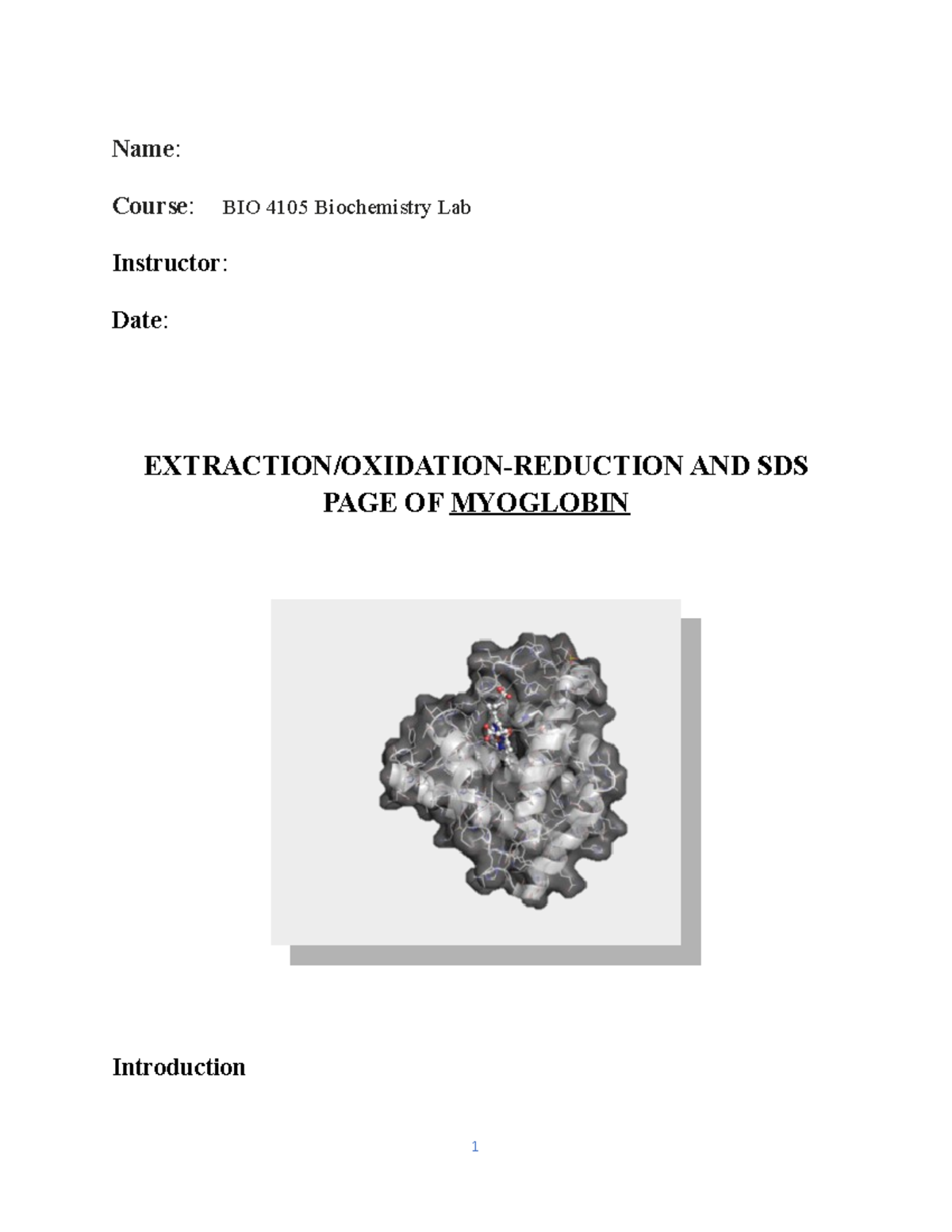 洋書 Myoglobin: Biochemical, Physiological 洋書 Myoglobin: Biochemical, Physiological Myoglobin