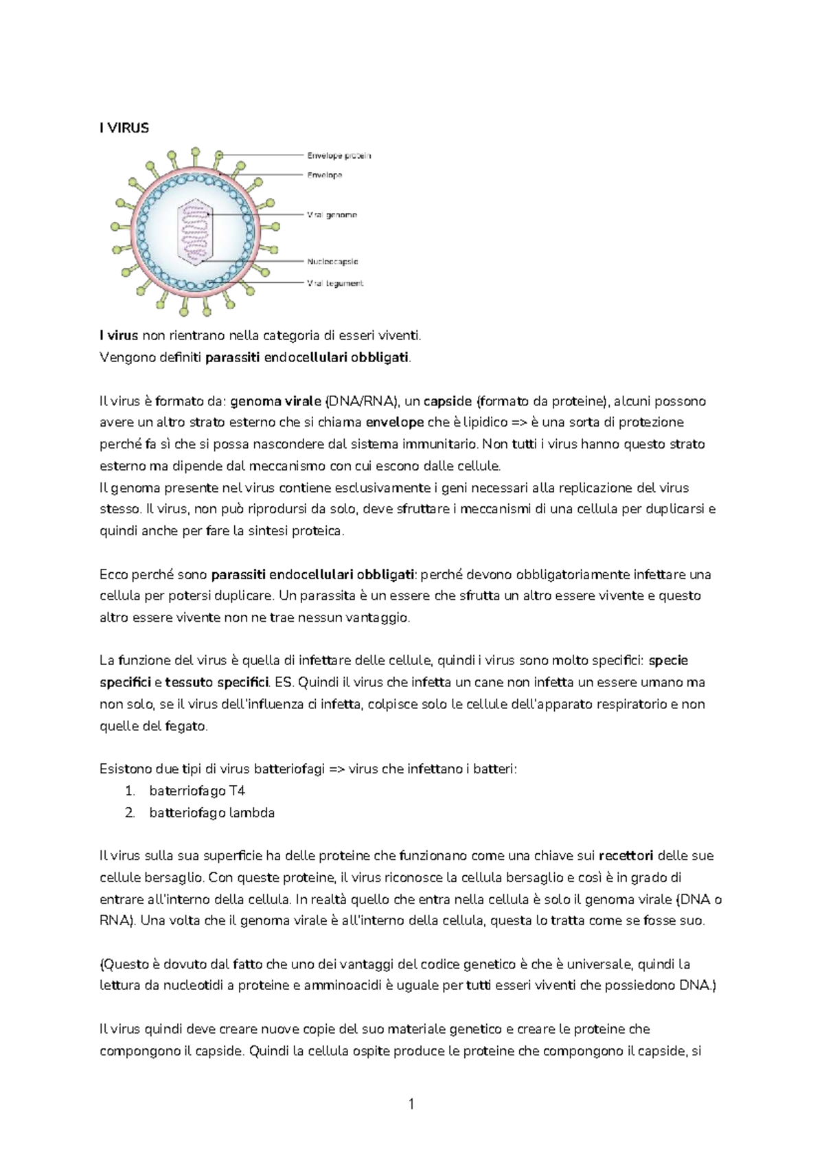 Virus e Batteri: Appunti Lezione (BIOL 101) - Studocu