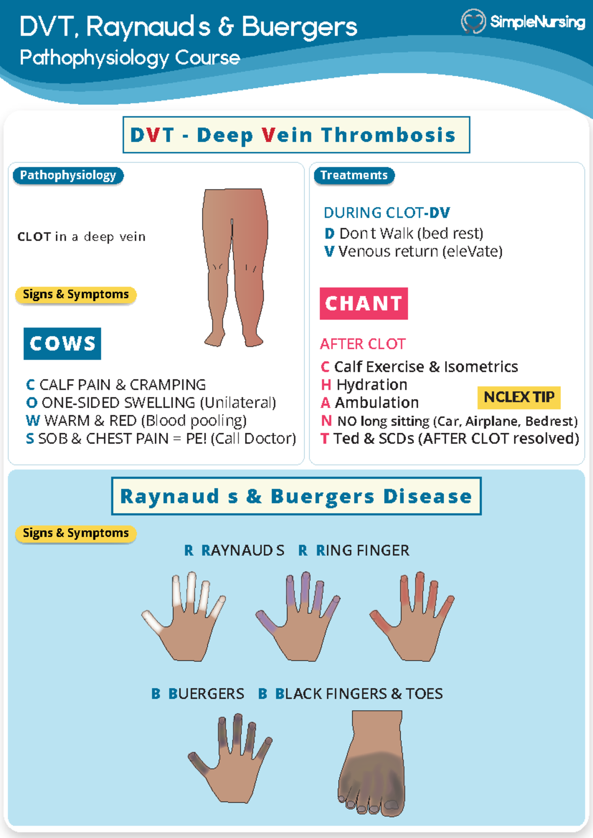 8. DVT - Deep Vein Thrombosis - DVT, Raynaud’s & Buergers ...