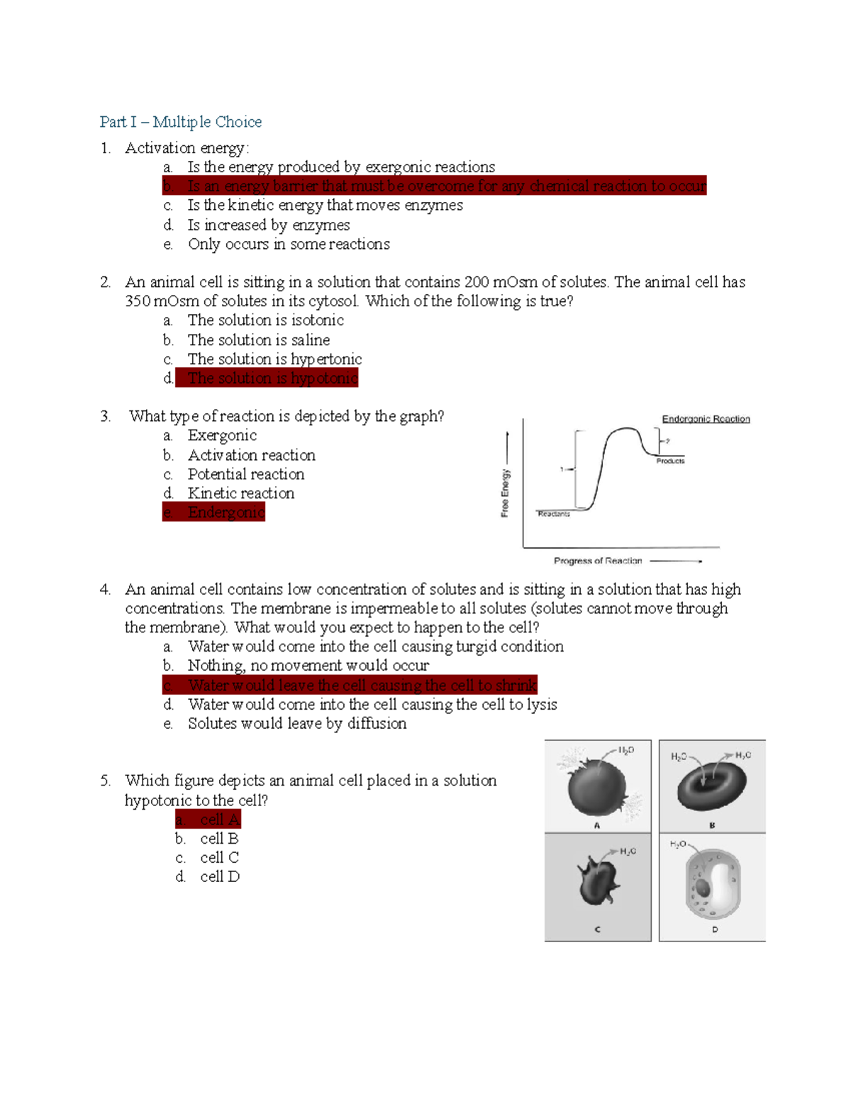 Practice Midterm 2: Cellular Respiration & Photosynthesis MCQs and ...