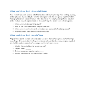 Math 155 - Worksheet #2 - Student Name: __________________________ Math ...