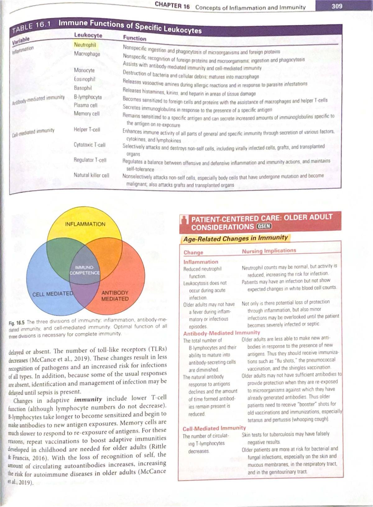 CHAPTER 16: Inflammation and Immunity Concepts - Key Insights and ...