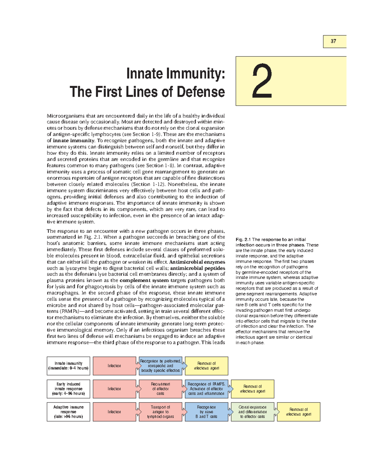 **Title: 37 Innate Immunity: The First Lines of Defense - Overview and ...