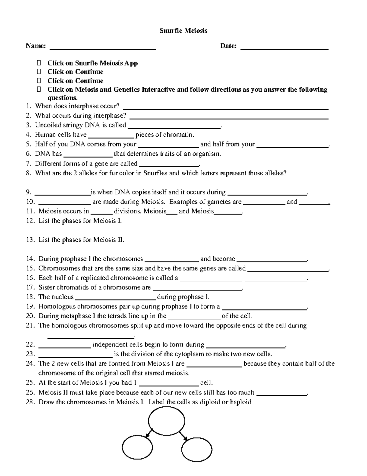 Snurfle Meiosis Worksheet: Interactive Study & Review - Studocu