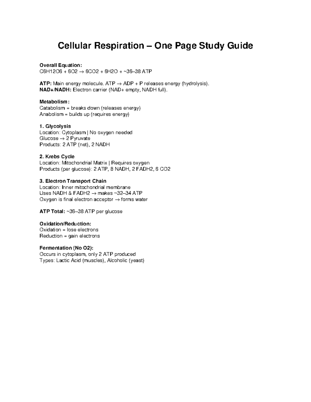 Cellular Respiration Study Guide Key Processes & Equations Studocu