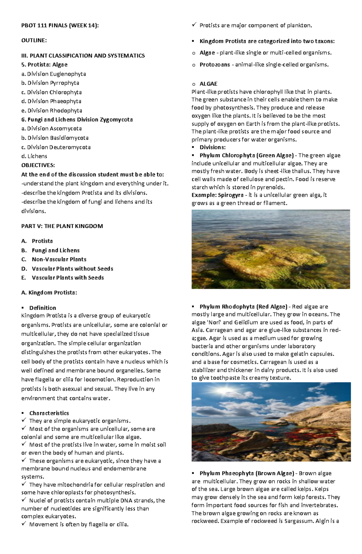 PBOT111 Finals Week 14: Overview of Kingdom Protista and Fungi - Studocu
