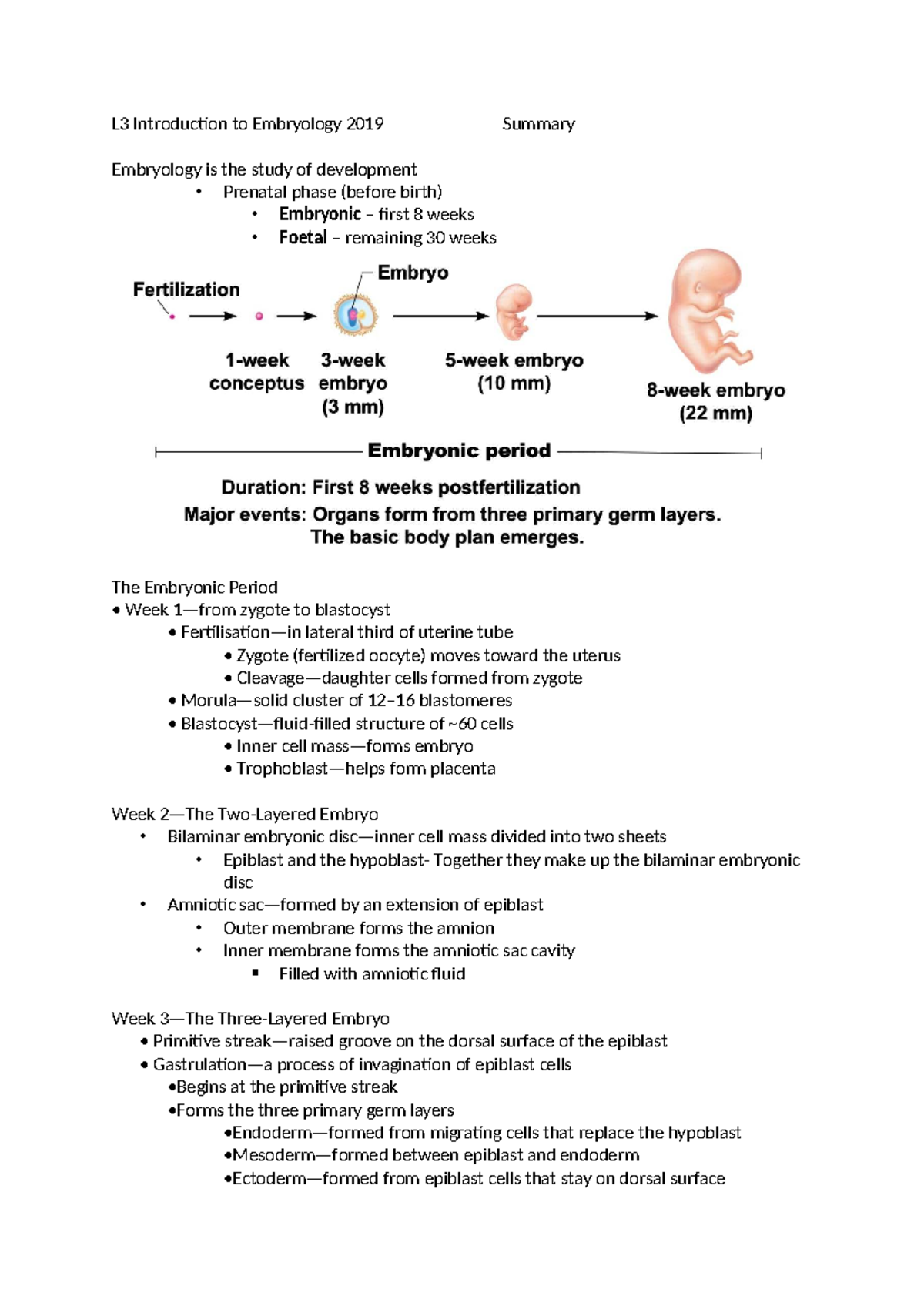 L3 Introduction to Embryology: Key Concepts and Summary - Studocu