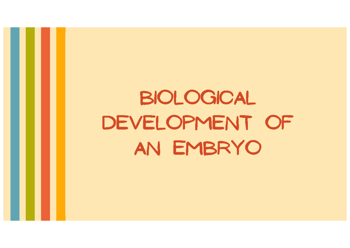 BIO 101: Biological Development of an Embryo Overview - Studocu