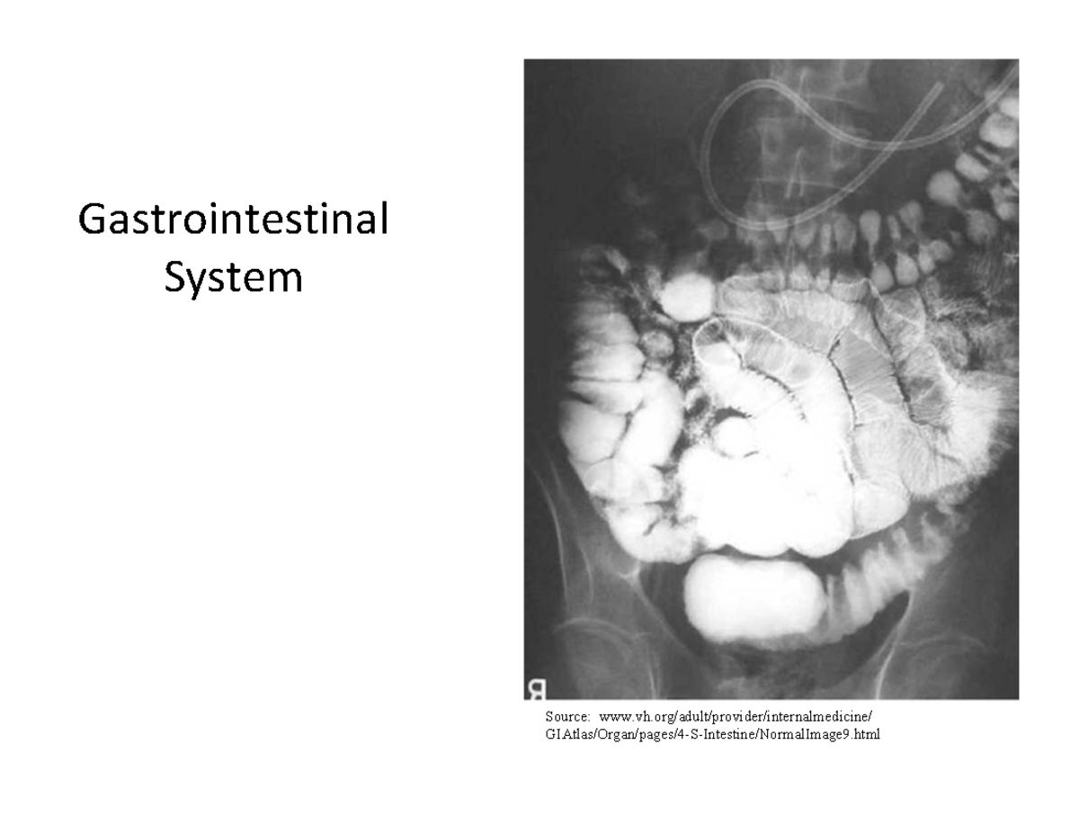 GI SYSTEM: Disorders, Diagnostics, and Treatment Approaches - Studocu