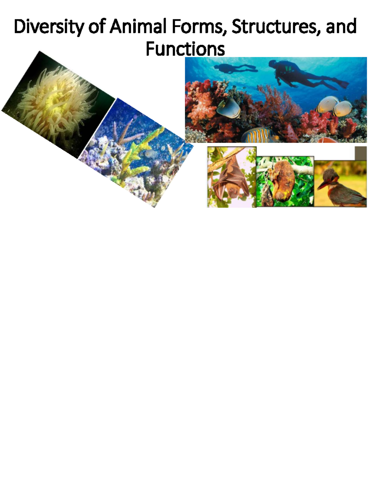 Diversity of Animal Forms, Structures, and Functions (ZOO 102) - Studocu