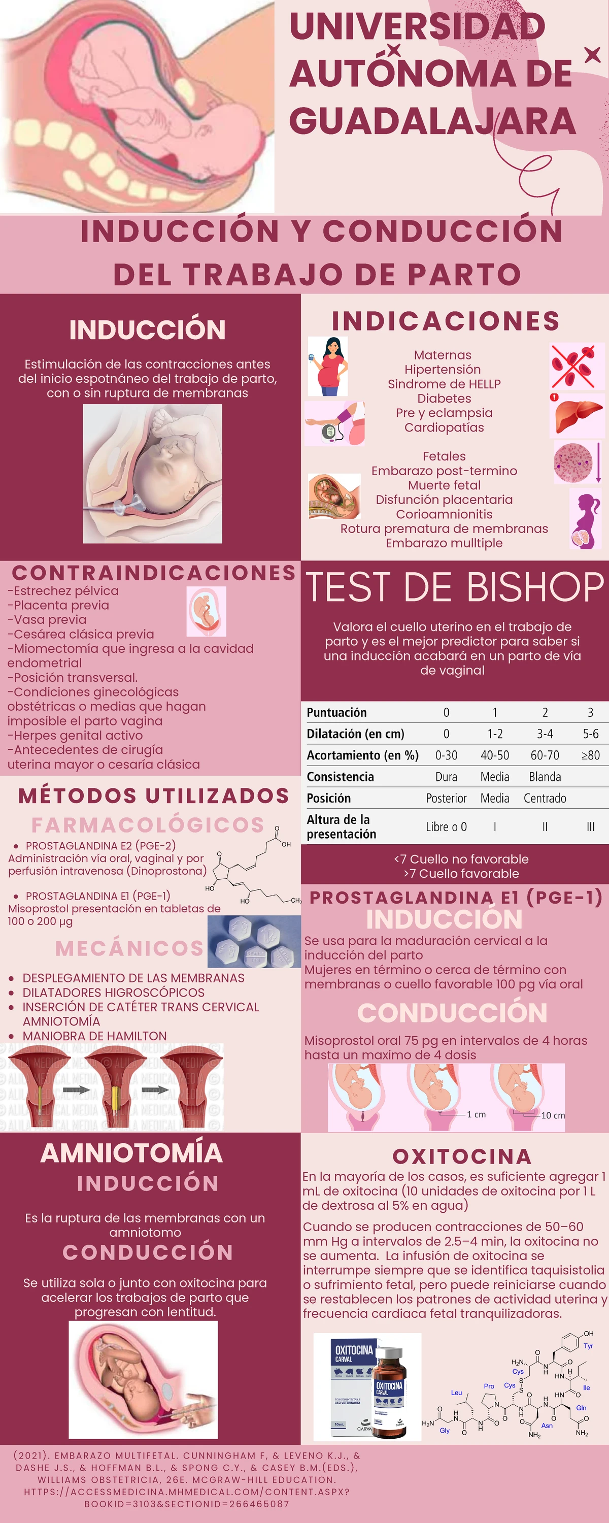 Protocolo Clínico para Inducción del Trabajo de Parto: Propuesta de ...