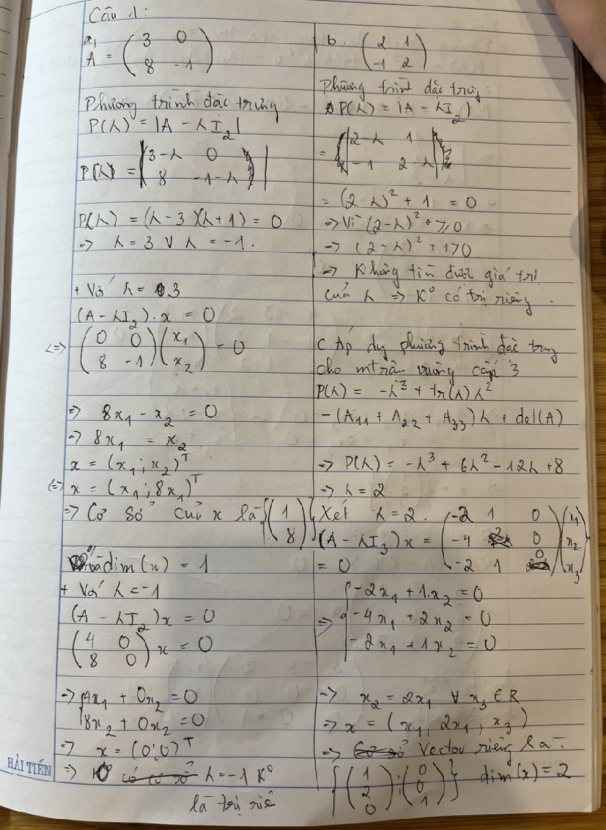 Math 123 Exercise Notes: Matrix Theory and Linear Algebra Concepts ...