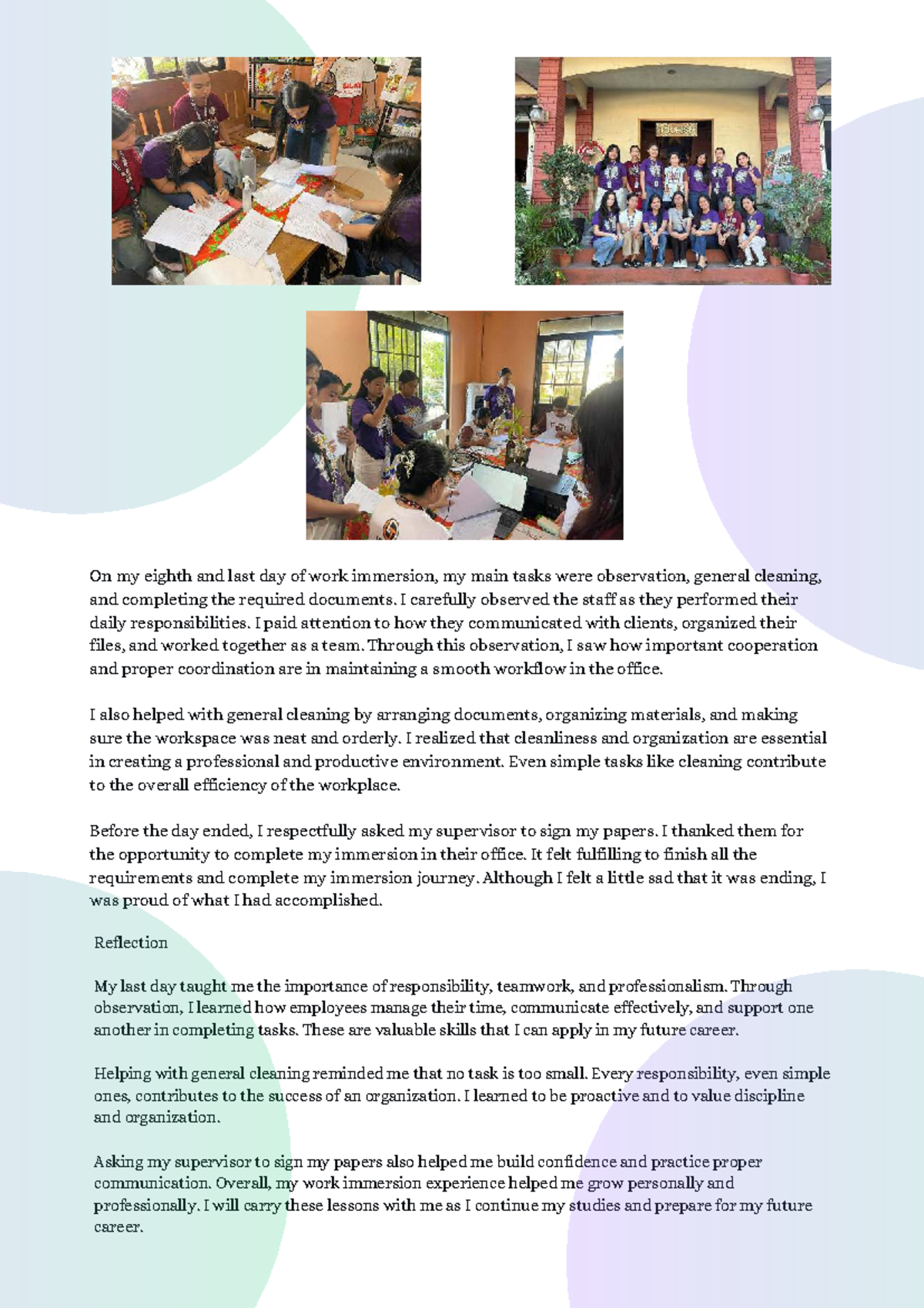 Work Immersion Reflection: Lessons from My Last Day (INB 33483) - Studocu
