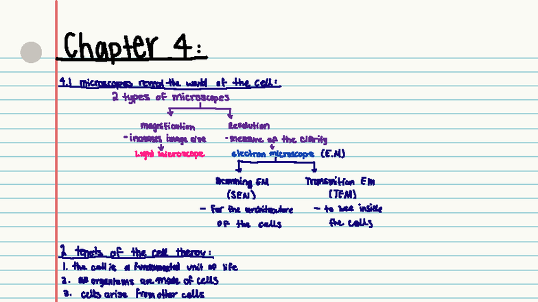 Cell Biology Fundamentals & Microscopy Insights - BIO101 Lecture Notes ...