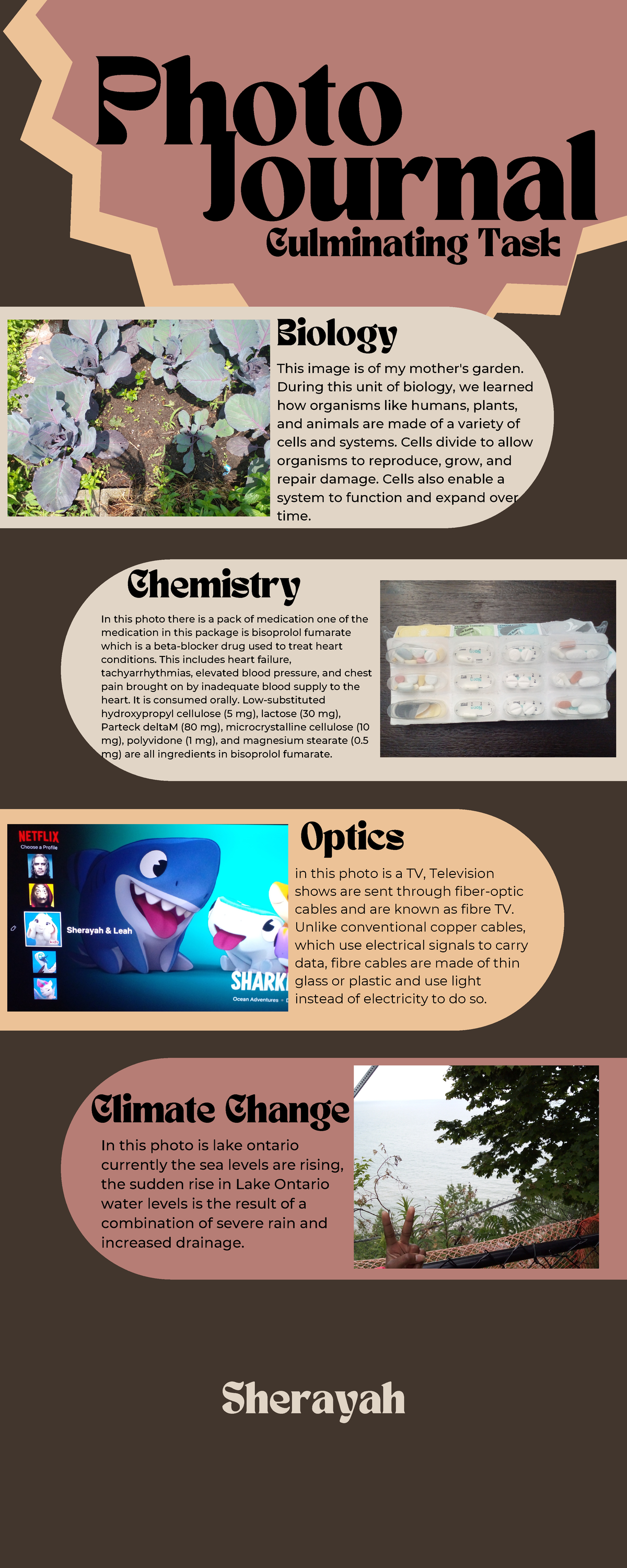 Biology & Chemistry Photo Journal: Culminating Task Insights - Studocu
