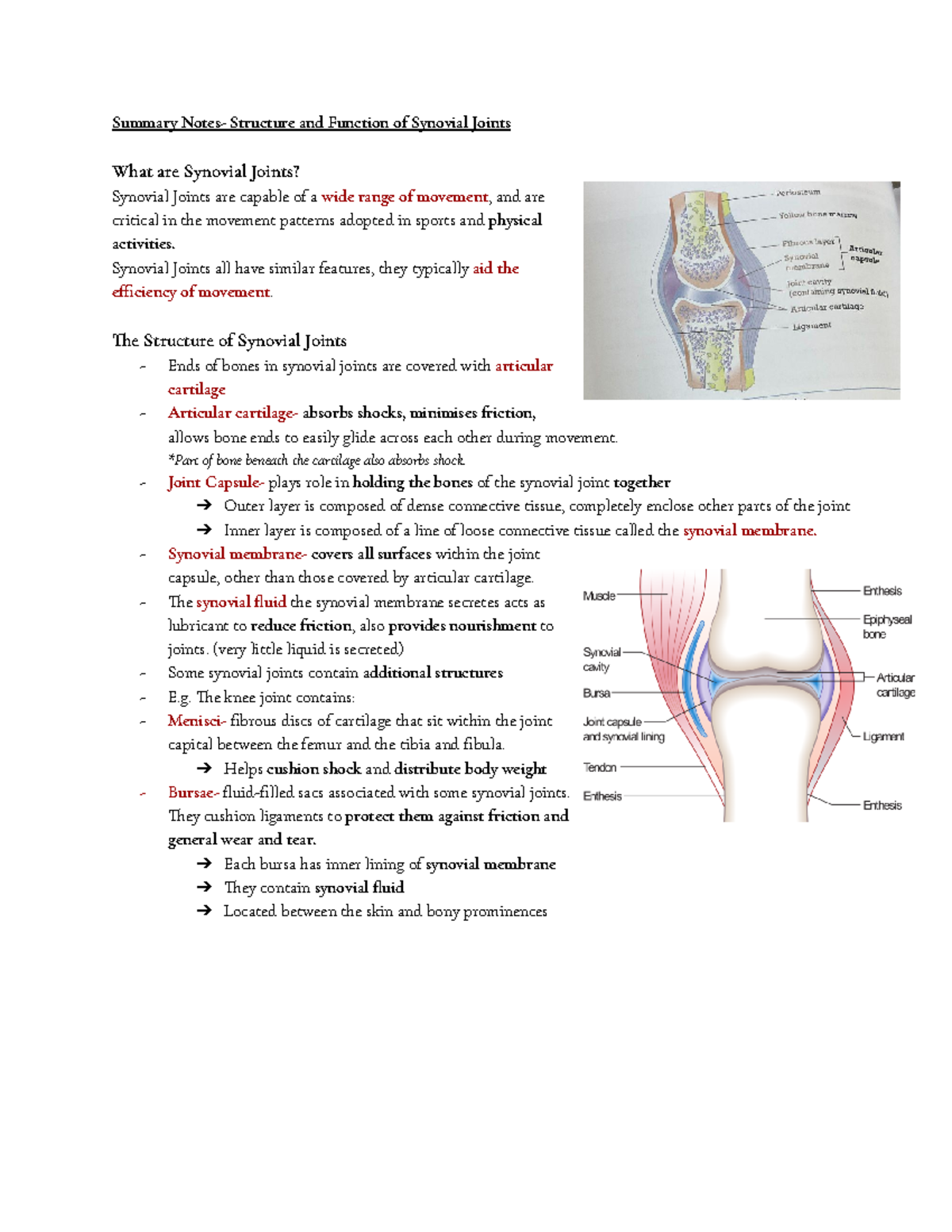 Summary Notes: Structure & Function of Synovial Joints - Studocu