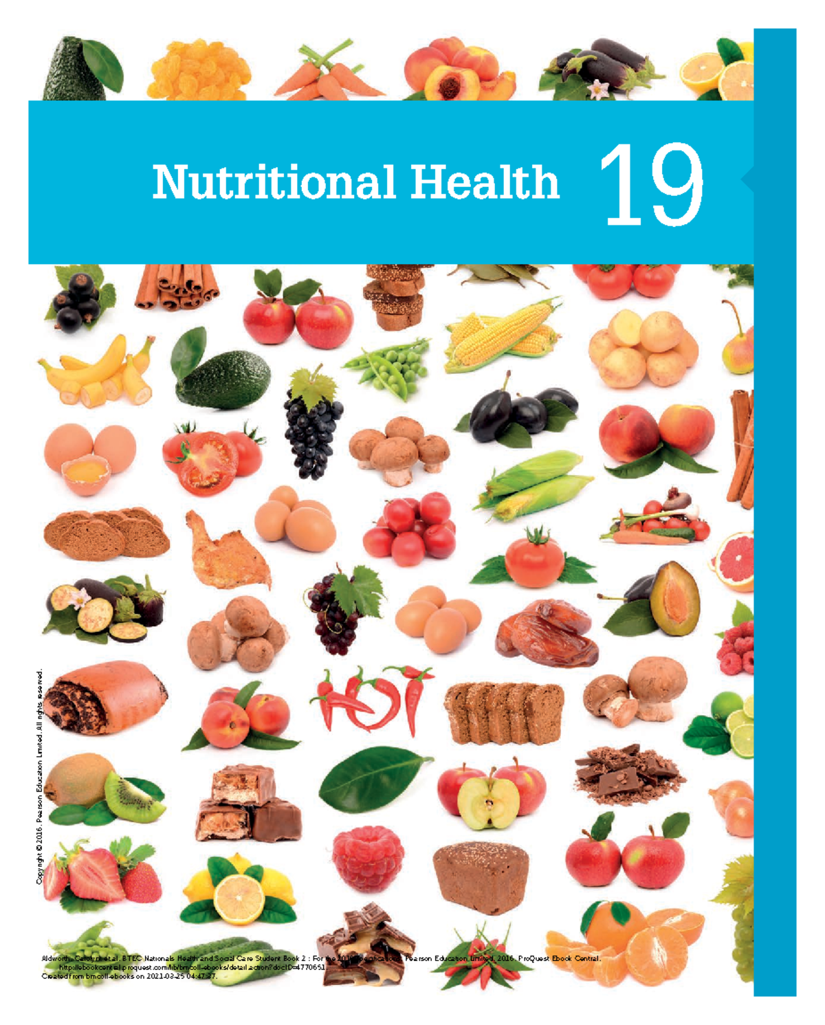 BTEC HSC Unit 19: Chapter 19 - Nutritional Health Overview - Studocu