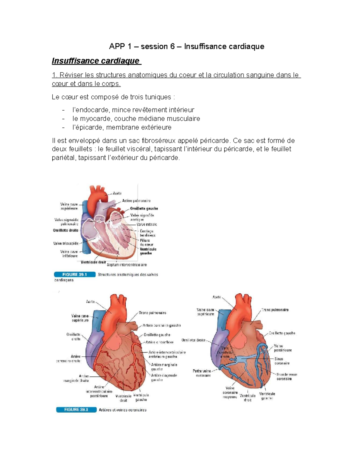 app-1-session-6-notes-sur-l-insuffisance-cardiaque-studocu