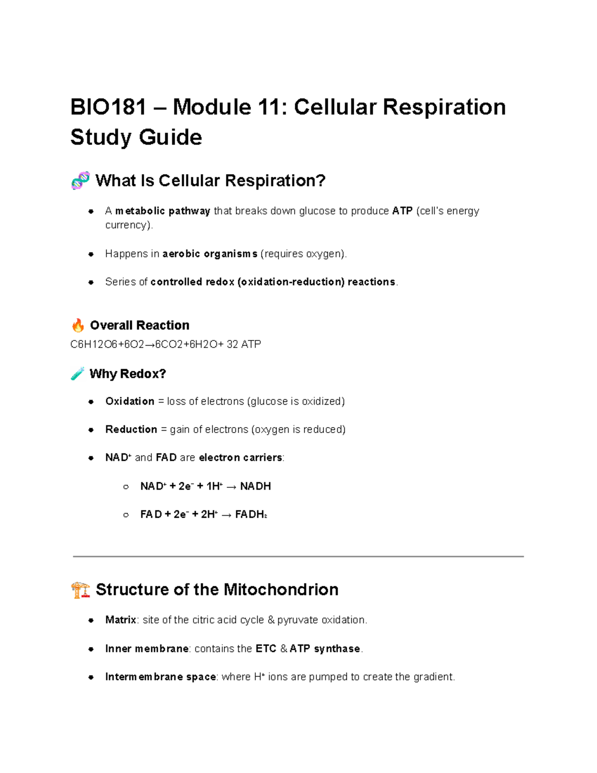 BIO181 Exam 4 Study Guide: Cellular Respiration & Photosynthesis - Studocu
