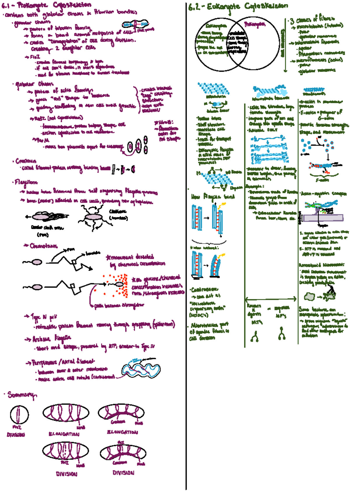 Final Exam Review Notes for Course XYZ 101: Key Concepts and Strategies ...