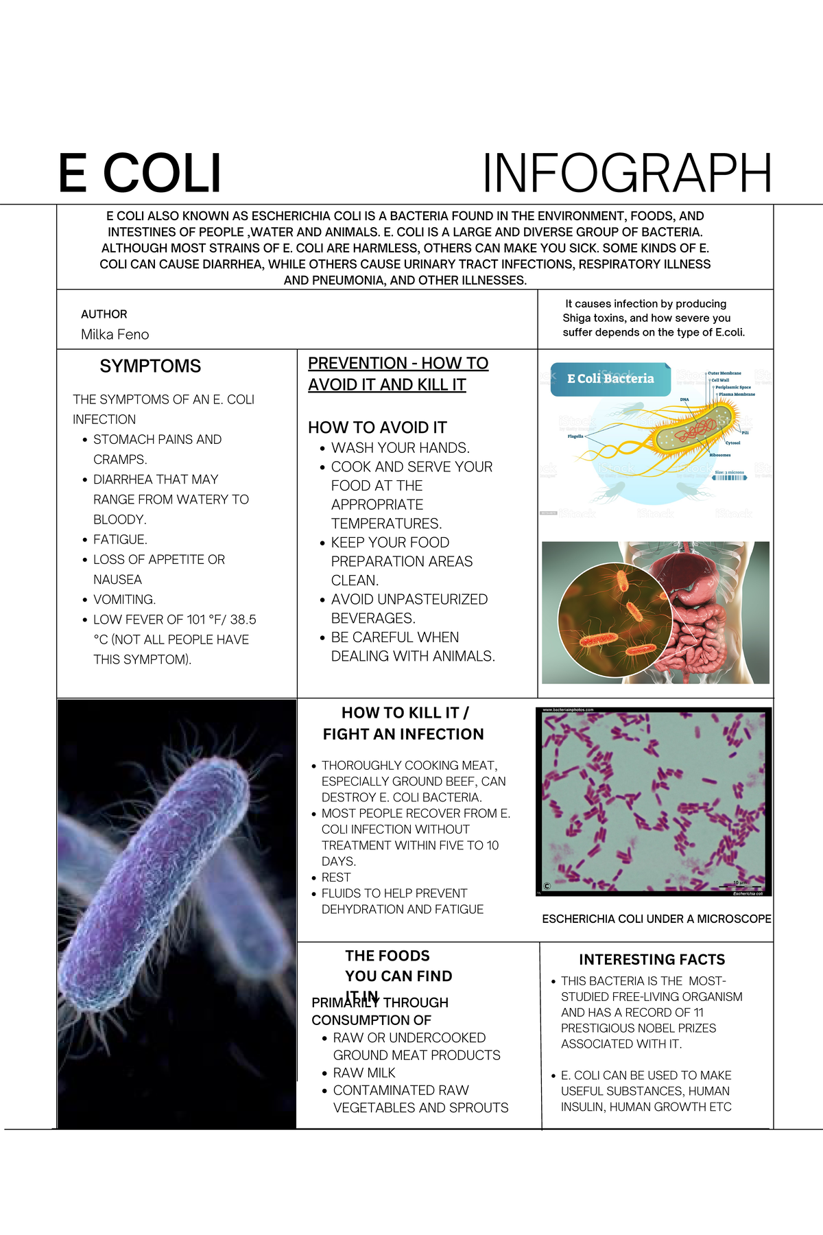 E COLI Infographic Project Poster: Understanding the Bacteria - Studocu