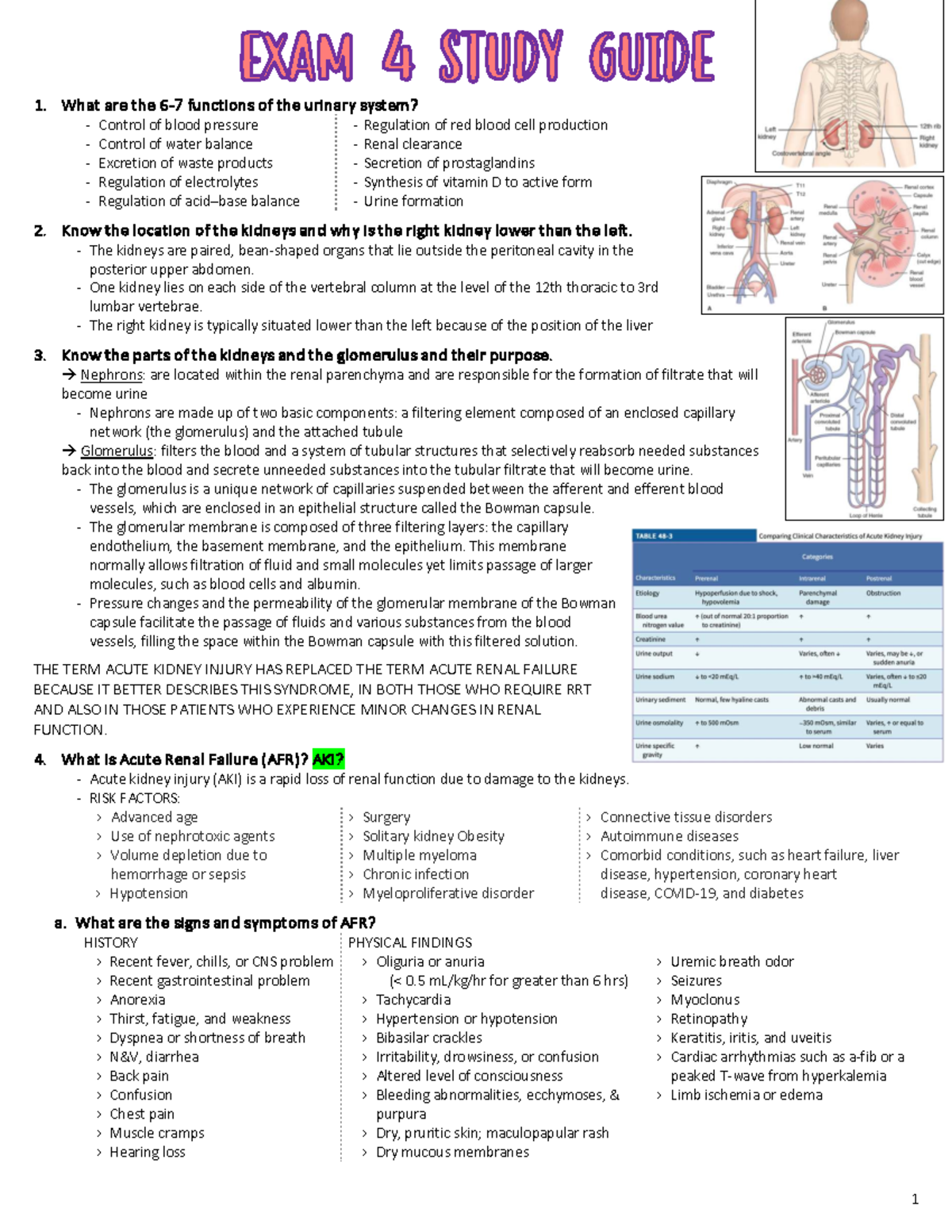 Immuno-Renal Study Guide LK PDF - 1. What are the 6-7 functions of the ...
