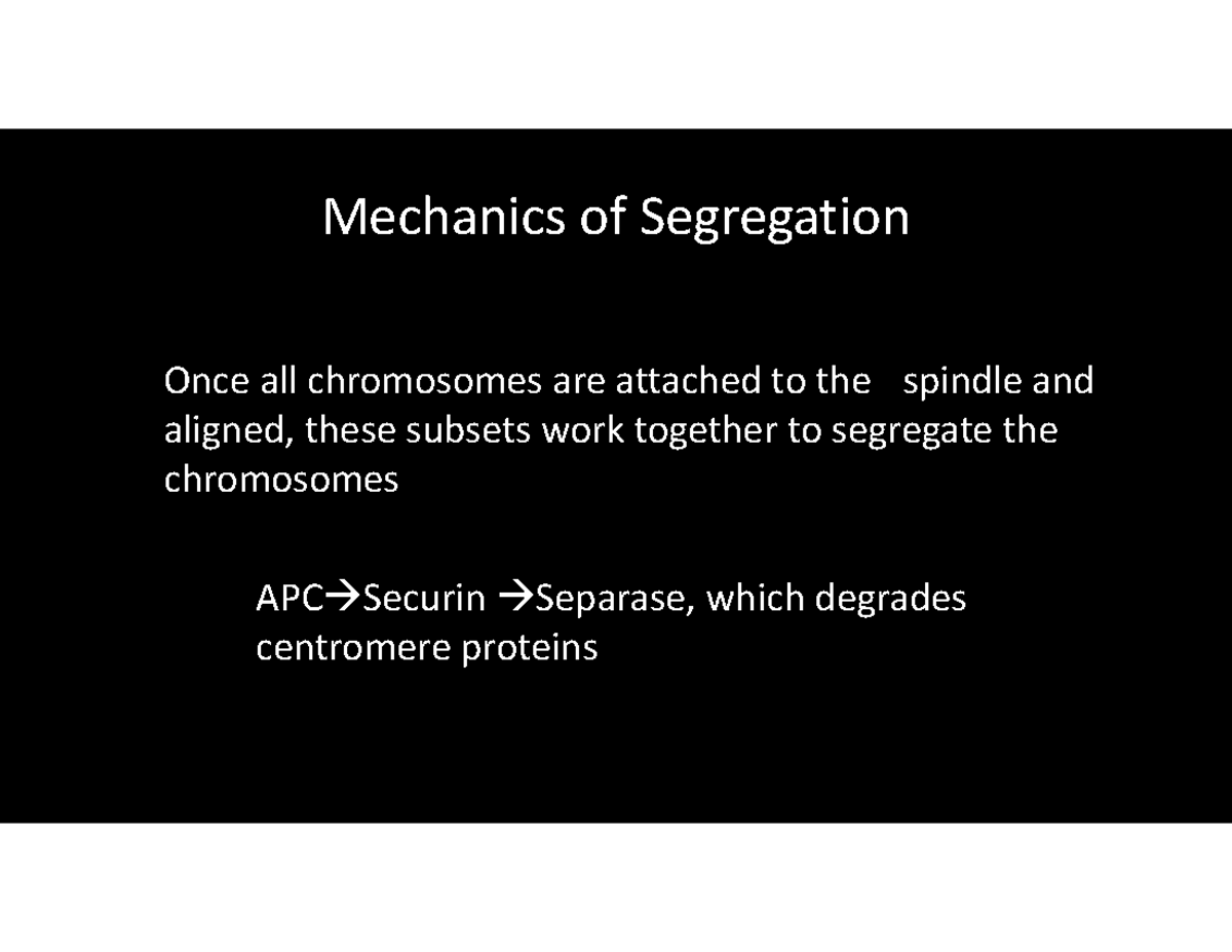 Mechanics of Chromosome Segregation in Cell Division (BIO 101) - Studocu