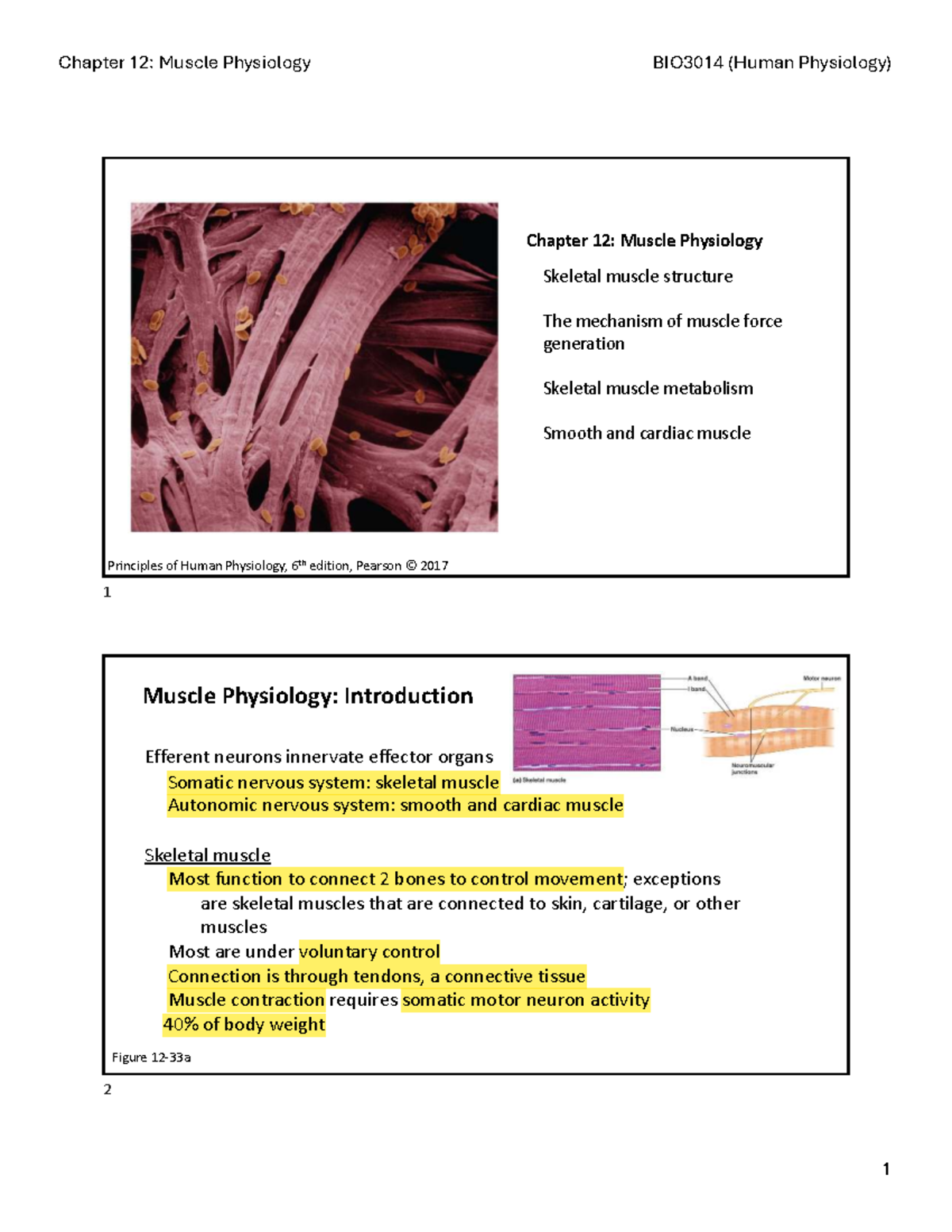 Chapter 12: Muscle Physiology Overview and Key Mechanisms - BIO3014 ...