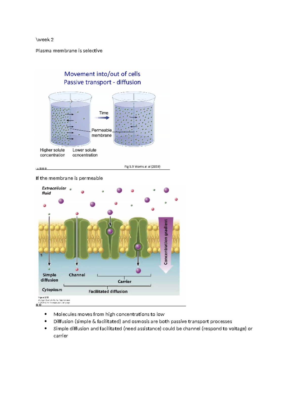 Week 2 - week 2 - \week 2 Plasma membrane is selective If the membrane ...