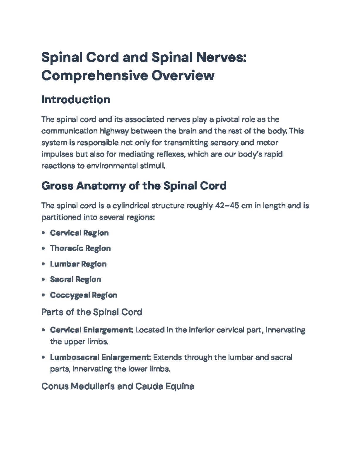 ANAT 101: Final Exam Notes on Spinal Cord and Nerves Overview - Studocu