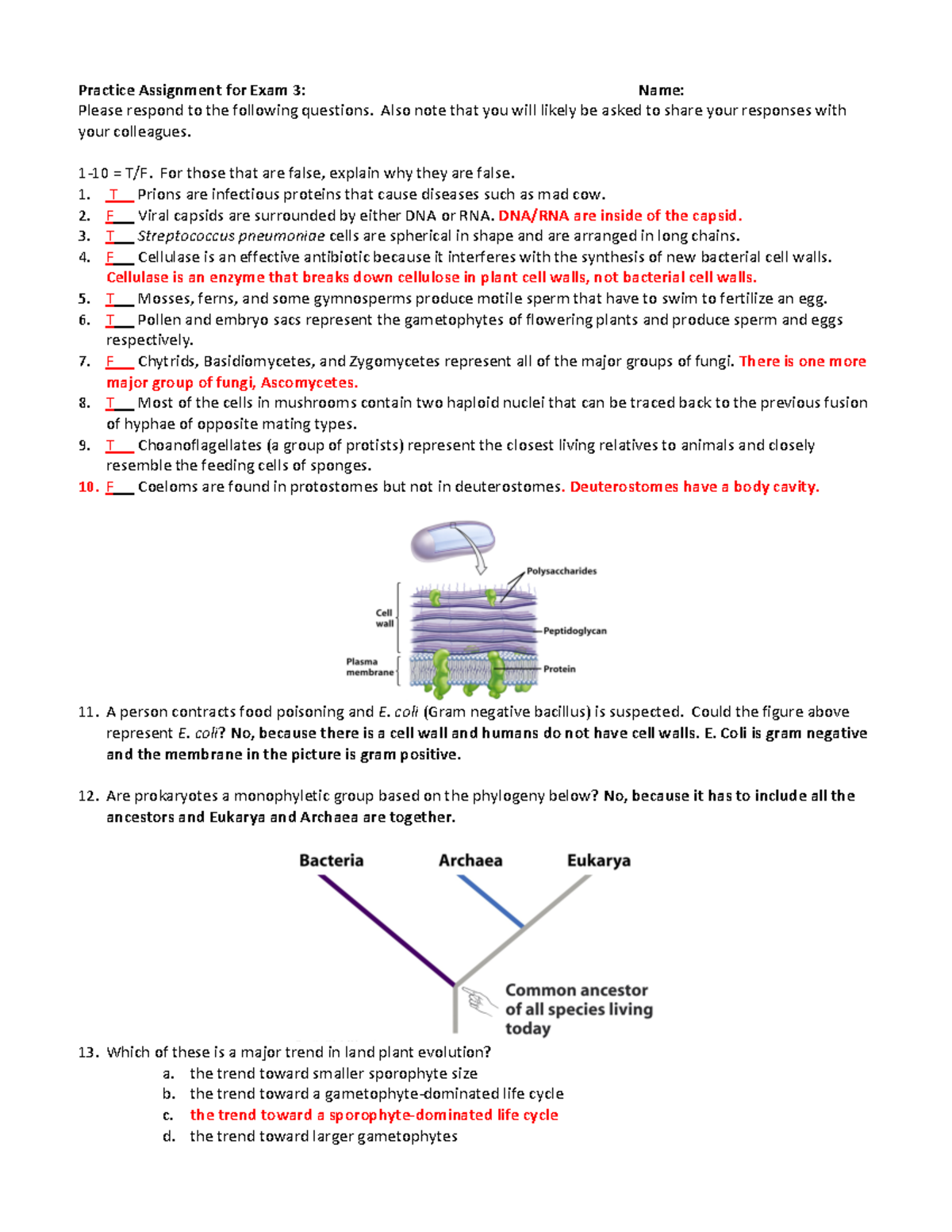 BIO 151 Exam 3 Study Guide: Key Concepts and Practice Questions - Studocu