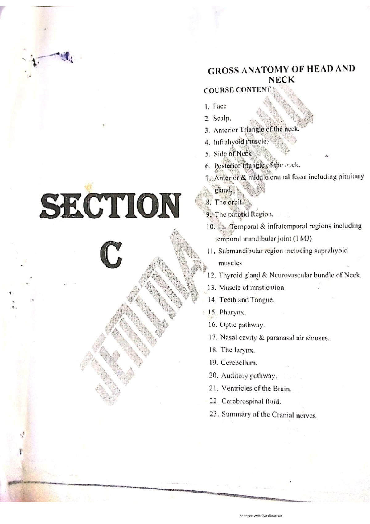 Anat 311 summary - GROSS ANATOMY OF HEAD AND NECK COURSE CONTENT 1 ...