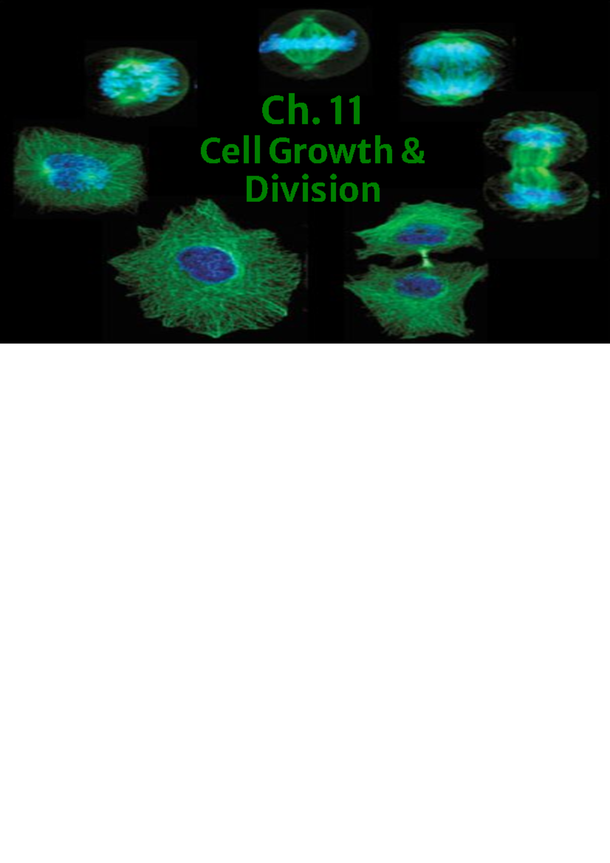 Unit 6: Cell Division and Reproduction - Notes on Growth & Mitosis - Ch ...