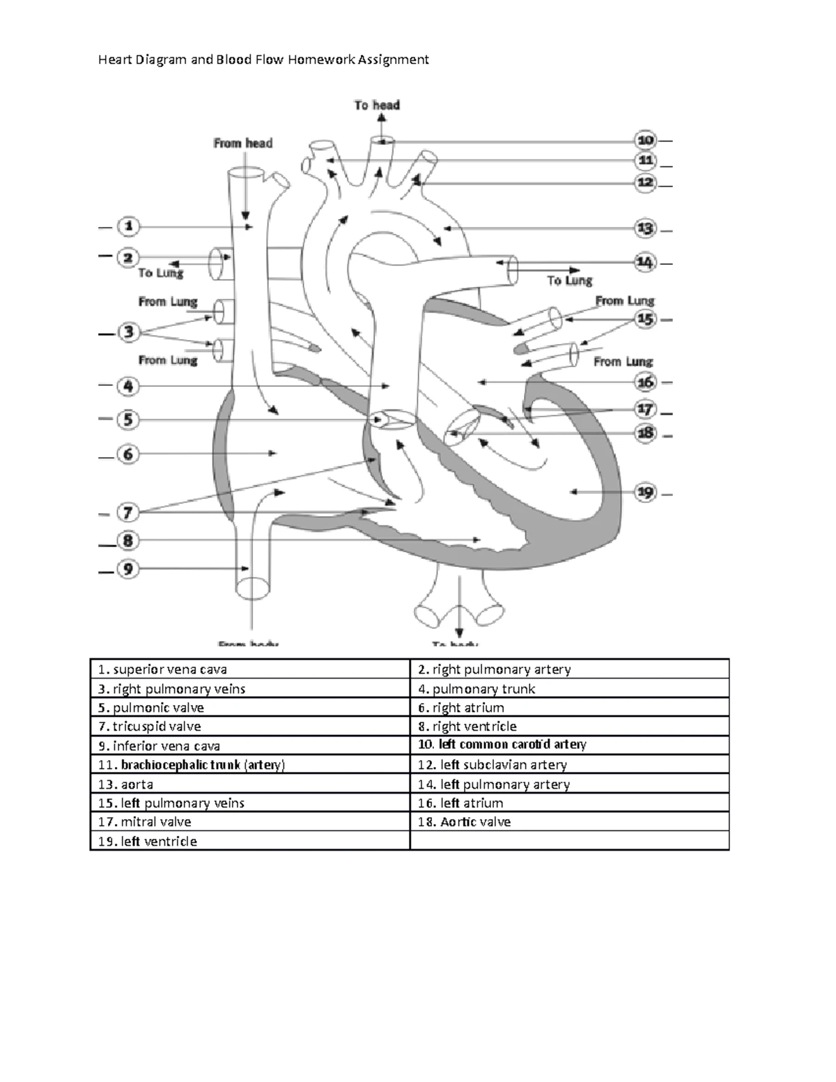 BIO 169 Final Lab Exam Study Guide: Structures & Functions 2023FA - Studocu
