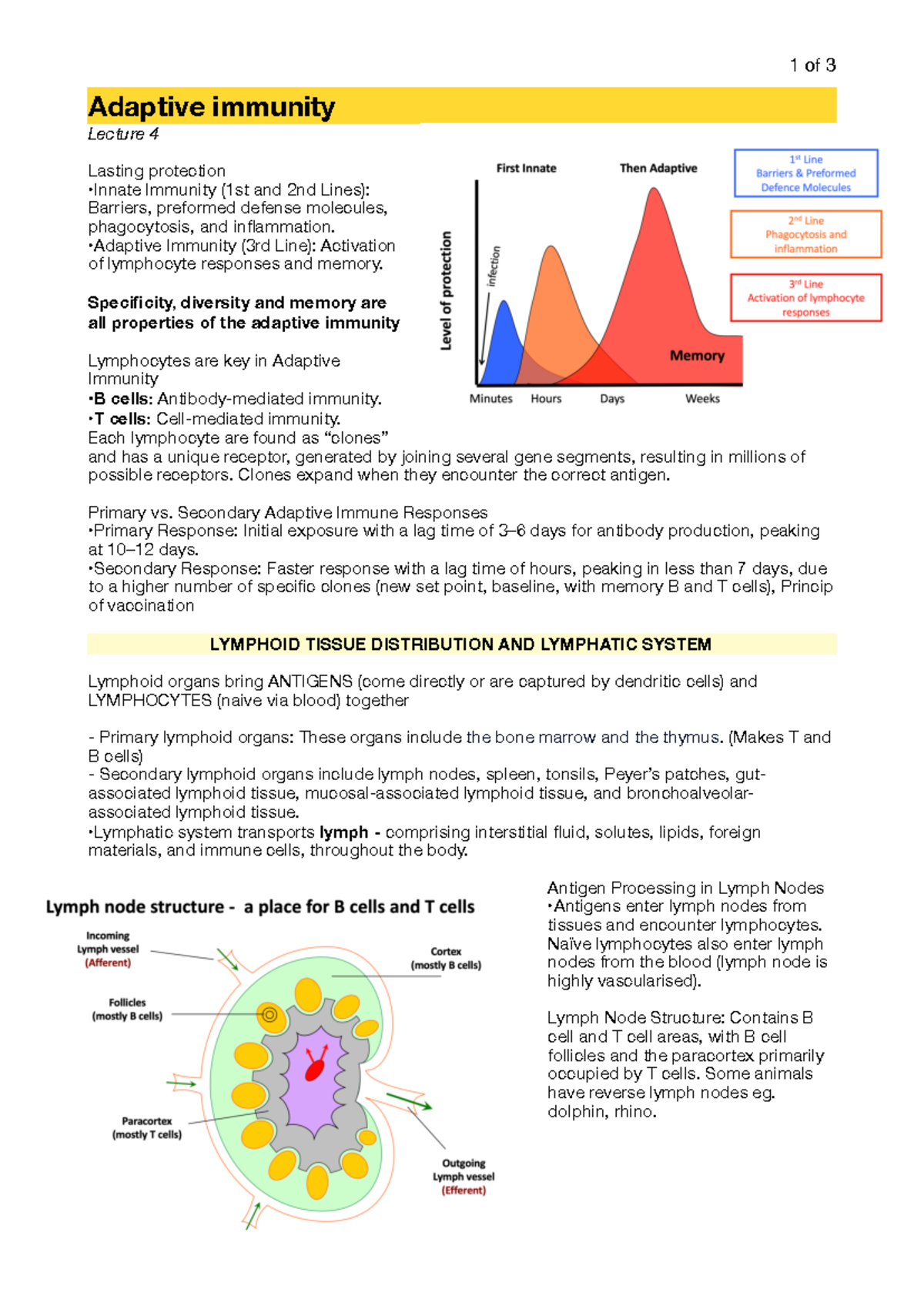 Immunology lecture notes - 1 of 3 Adaptive immunity Lecture 4 Lasting ...