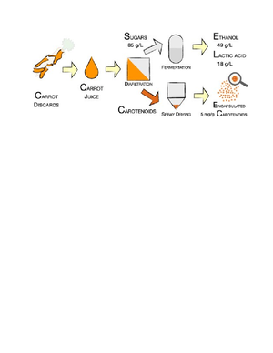 TO STUDY THE DIGESTION OF STARCH BY SALIVARY AMYLASE AND THE EFFECT OF ...