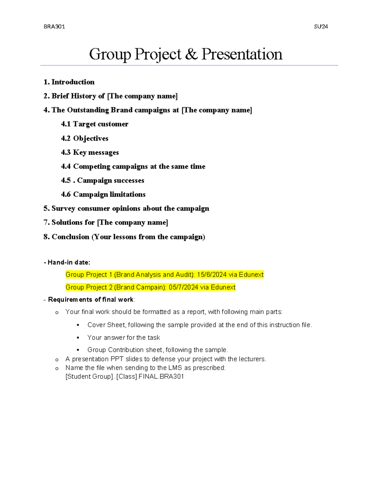 BRA301 SU Group Project & Presentation Guidelines and Requirements ...