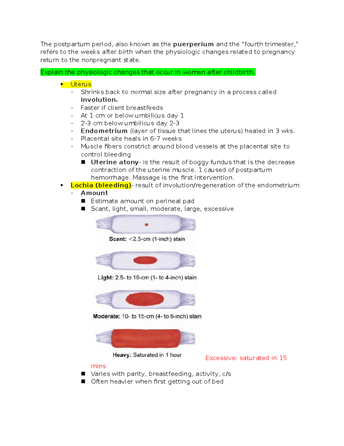 1030 Postpartum Period - The postpartum period, also known as the ...