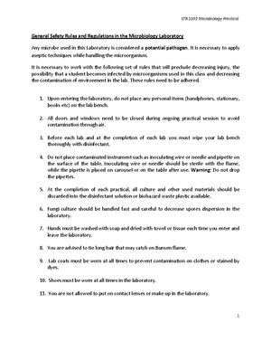Reflection Report on Microbiology Practical STB 1093: Observing ...