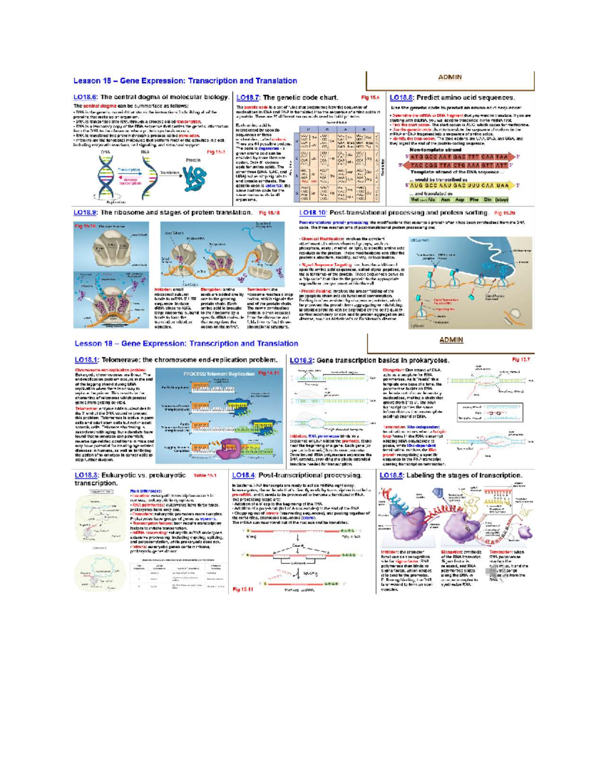 ADMIN Final Exam Study Guide for Biology 101 - Spring 2023: Gene ...