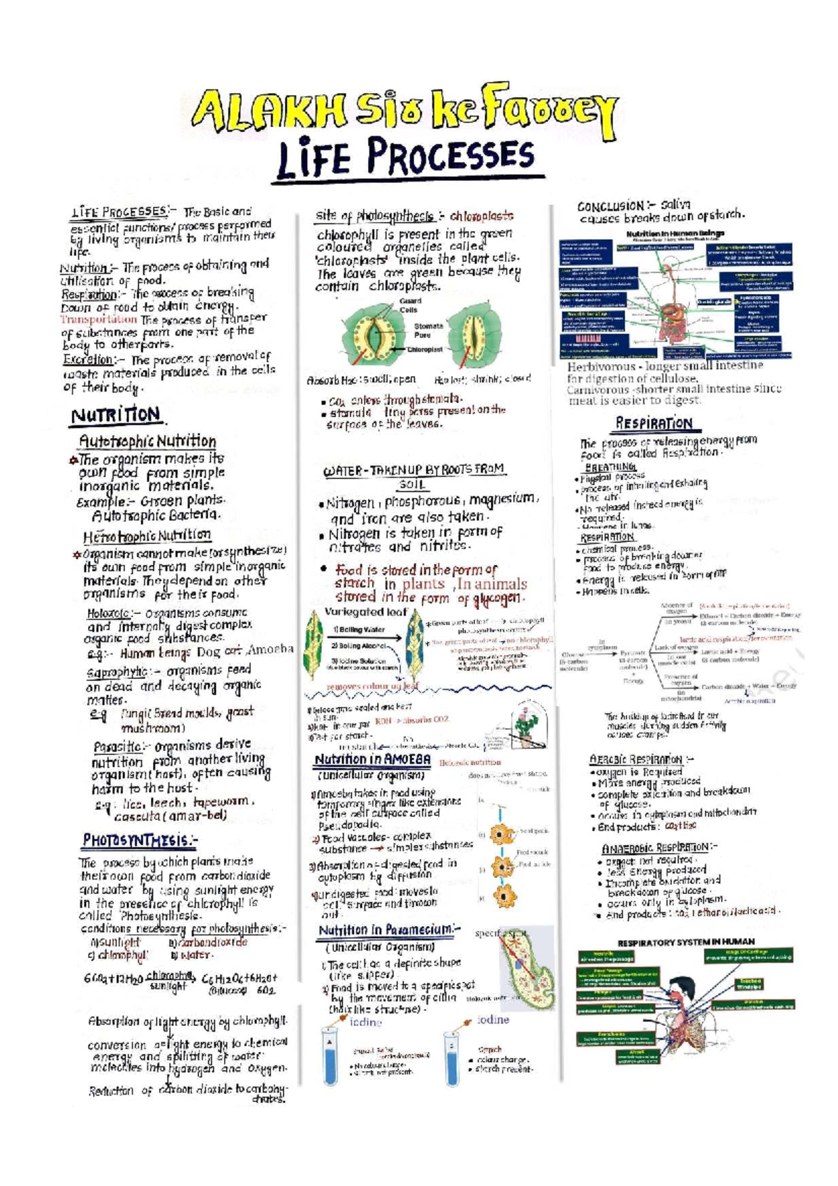 Life Processes in Living Organisms: A Comprehensive Study (ALA KH 101 ...