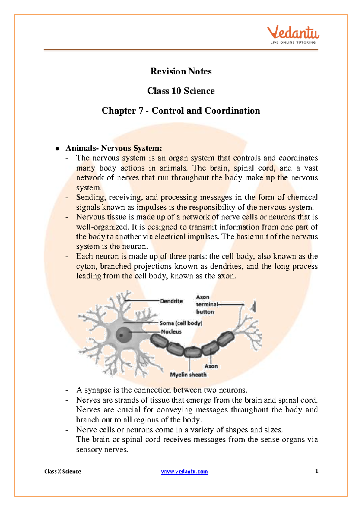 CBSE Class 10 Science Revision Notes: Chapter 7 Control & Coordination ...