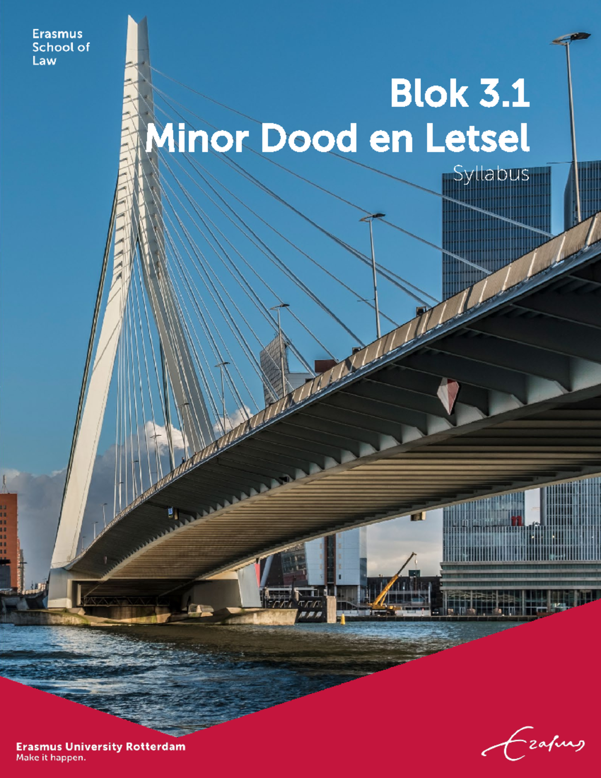 Syllabus RMIN03 Minor Dood en Letsel 2024-2025: Inhoud en Activiteiten ...