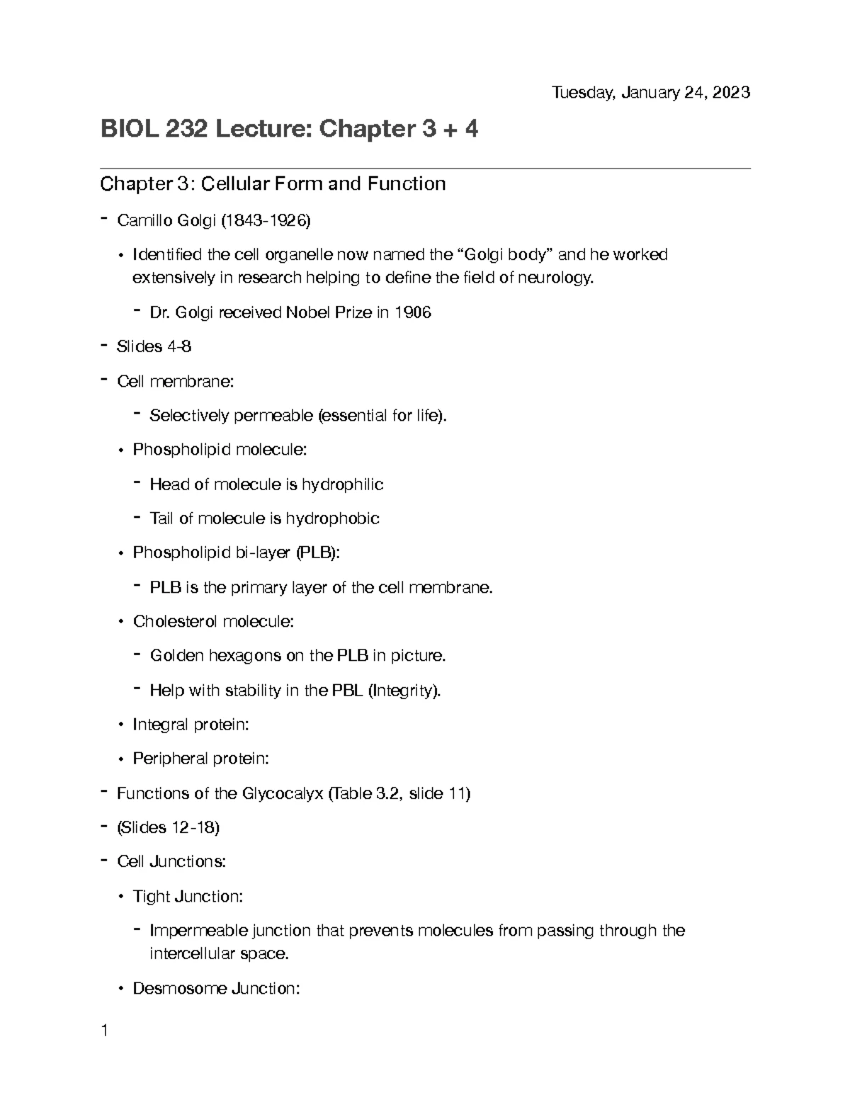 BIOL 232 Lab Practical 2 Notes and Anatomical Structures Overview - Studocu