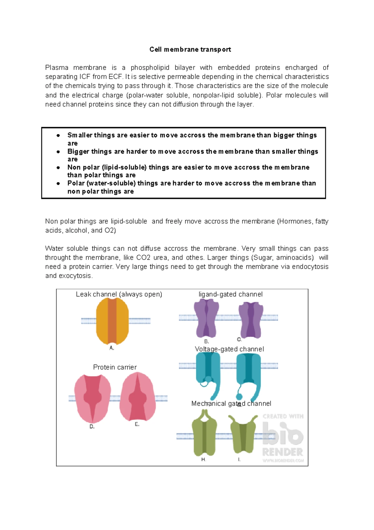 Physiology Notes: Chapter 4 - Cell Membrane Transport Concepts - Studocu